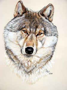 Voir le détail de cette oeuvre: Le loup gris