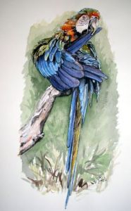 Voir le détail de cette oeuvre: Le ara bleu